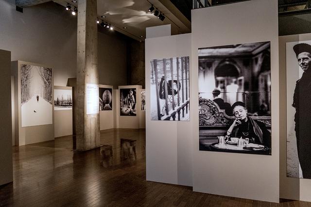 画像: 「細江英公」の展示。『王国』の沈黙の園と『ヨーロッパ 静止した時間』
