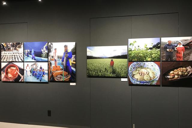 画像2: この写真展について