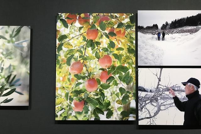 画像3: この写真展について