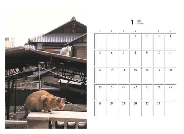 画像6: mm-style.jp