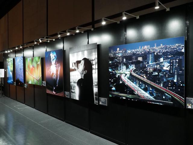 画像: Pro gallery(プロギャラリー)