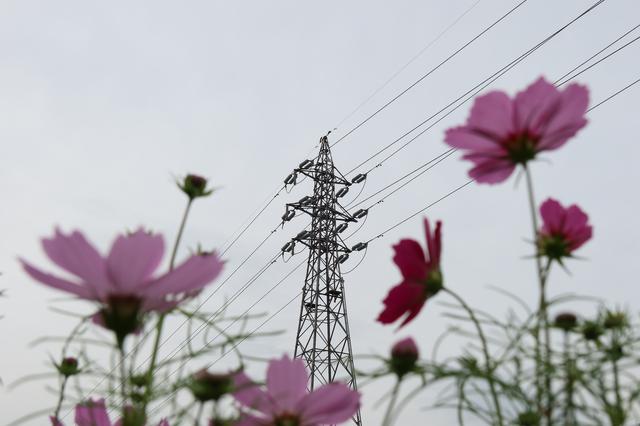 画像: <写真2>ローポジション、ローアングルでの撮影。ダイヤル式の露出調整やチルト式液晶で心地よく撮影できます。