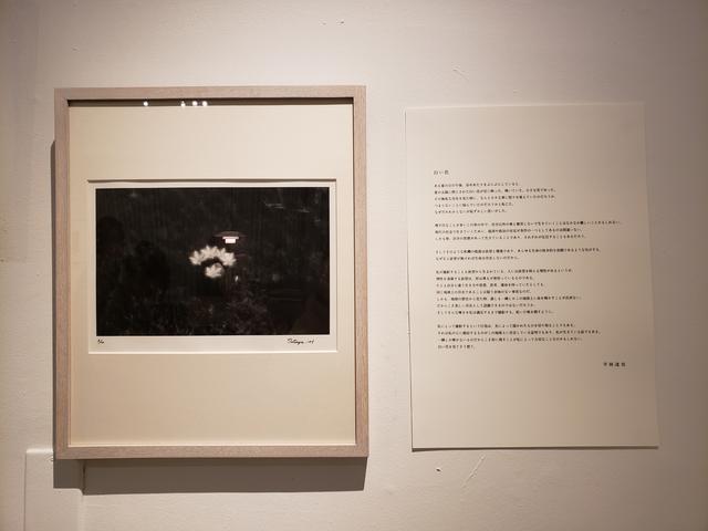 画像: 入口には、平林さんが2004年頃から白い花を撮るきっかけとなった花の写真と、本展に寄せたテキストが展示されています。