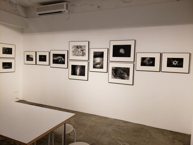 画像: 展示風景。
