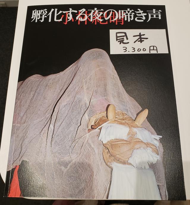 画像: 会場では、赤々舎から出版された本展と同名の写真集『孵化する夜の啼き声』(3,300円+税) も販売中です。