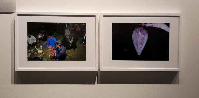 画像: 写真左)沖縄の宮古島に伝わる厄払いの伝統行事「パーントゥ」。 年に1度、仮面をつけ、泥だらけの体に蔓草を巻き付けた3体の来訪神「パーントゥ」が、集落を回り島民や建物に泥を塗りつけ、厄払いをするお祭りです。この作品では島民に怖がられる存在の「パーントゥ」が、島民たちの少し後ろに一緒に座る光景が、どことなく奇妙で微笑ましく感じました。