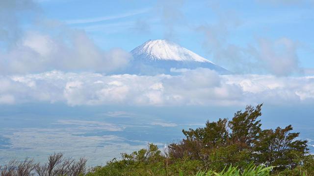 画像9: ニコンZ 7に6種類のFマウントレンズを装着して撮影のショートムービー「Cool breeze」がニコンミュージアムで上映中!