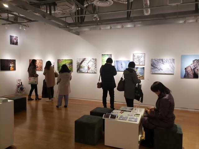 画像: 会場風景。会場には多くの来場者が訪れていました。1枚1枚、原田さんの作品を鑑賞していると「可愛い~」という声や、「私も以前リスを飼っていたの」と口にする方も。皆さんが思い思いに写真展を楽しまれている様子でした。