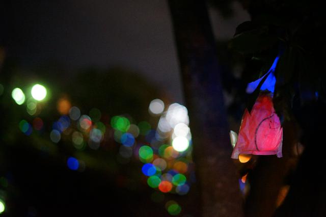 画像: ■ソニーα7Ⅱ FE 50mm F1.8 絞りF2 1/10秒 ISO6400