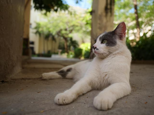 画像: ▲本レンズは「寄って撮れる」のも長所だ。 ■絞りF1.7 1/1300秒 ISO200 35mm判換算24mm相当の画角で撮影