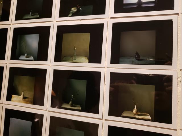 画像: 店内には写真集『忘草 東京』のために、奥山さんがハッセルブラッド 503CWで撮り下ろしたポラロイド写真が展示されています。写真集に掲載されている写真も、未掲載の写真も展示され、会期中、1枚5,000円で販売されています。