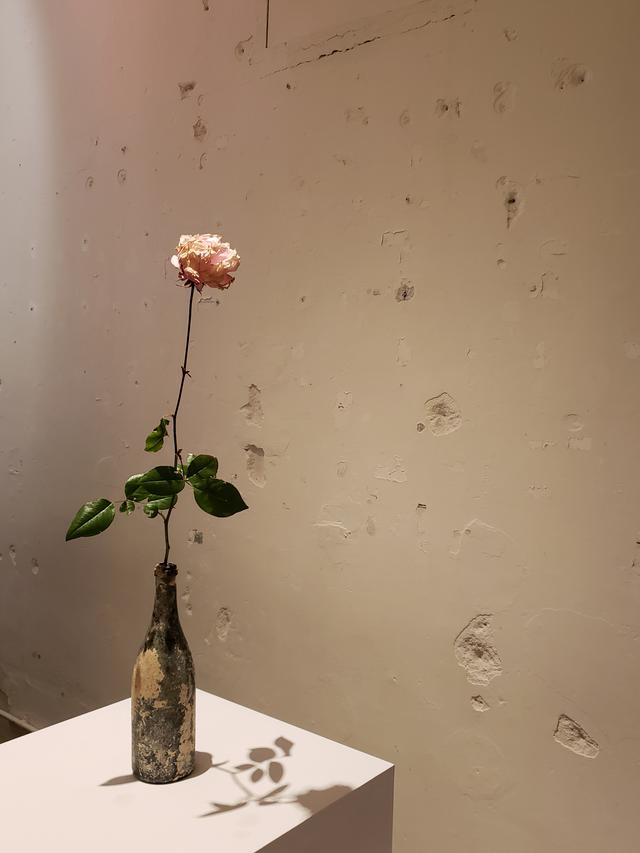 画像: オランダの運河で見つかったというワインボトルに生けられたバラの花。 本発表会のために、杉さんが、都内に咲くバラを探し歩き、やっと見つけたという一輪の花。霜で凍り、枯れはじめたバラの凛とした美しい佇まいには、ただ目を奪われるばかり。