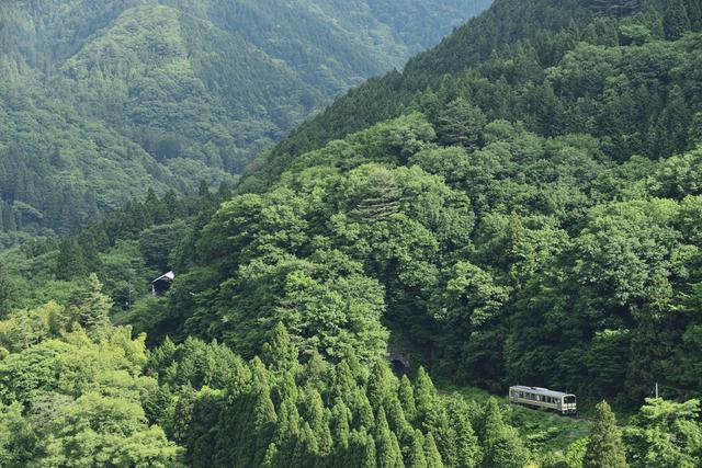画像: ■ 122mm 絞りF8 1/500 秒 ISO640 ※ 2019年6月5日8時27分撮影