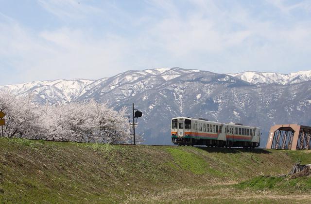 画像: 桜と残雪を背景に(写真奥は日本最古の現役鉄橋)