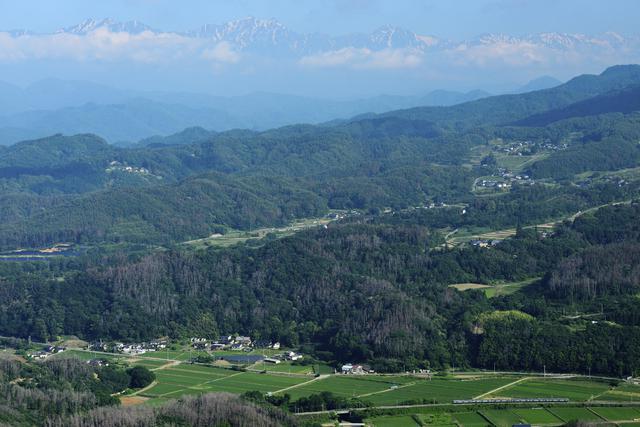 画像: ■86mm 絞りF8 1/800秒 ISO400 ※2019年6月26日7時23分撮影