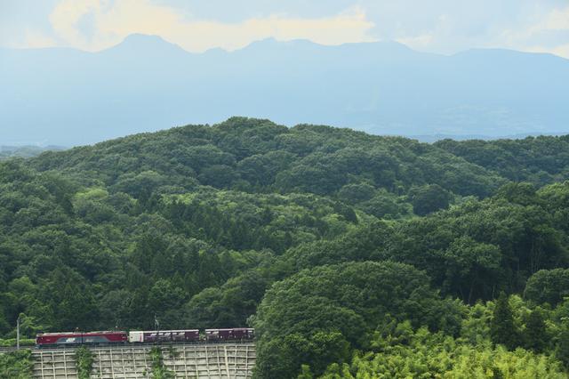 画像: ■120mm 絞りF8 1/800秒 ISO1600 ※2019年8月1日15時28分撮影