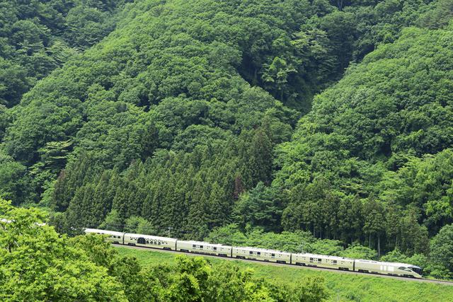 画像: ■102mm 絞りF8 1/1000秒 ISO800 ※2019年6月2日12時30分撮影