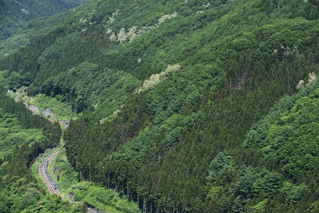 画像: ■140mm 絞りF8 1/800秒 ISO400 ※2019年6月2日9時56分撮影