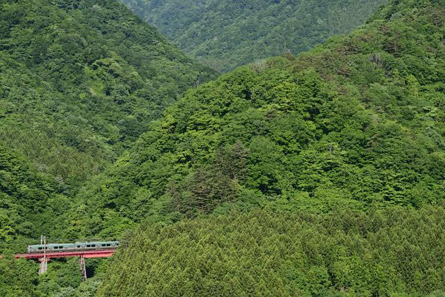 画像: ■116mm 絞りF8 1/800秒 ISO400 ※2019年6月2日7時3分撮影
