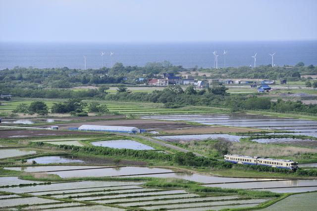 画像: ■195mm 絞りF8 1/400秒 ISO1600 ※2019年6月1日17時55分撮影