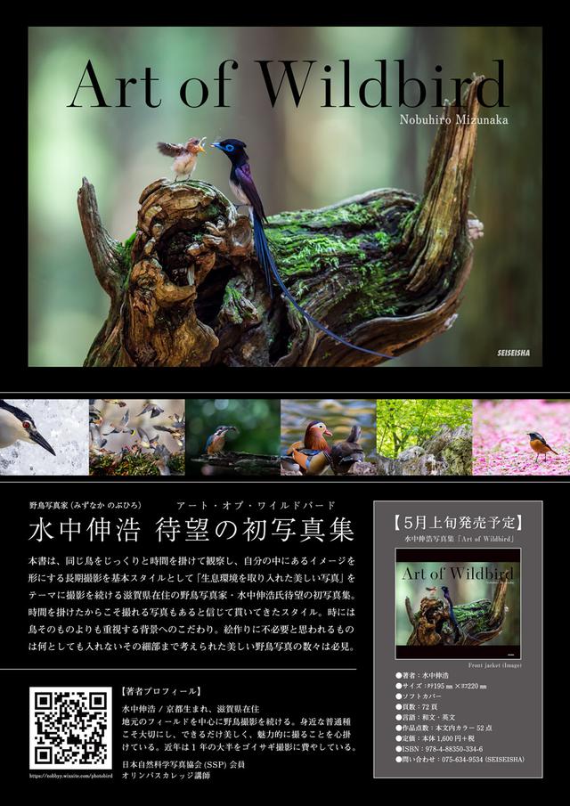 画像1: 野鳥写真家・水中伸浩さんの初写真集「Art of Wildbird」が
好評発売中!