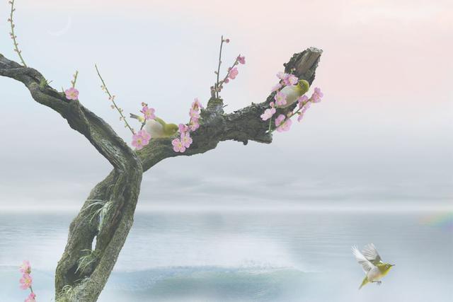 画像: ▲片岡司「wind of colors 心和む写心」より。 mm-style.jp