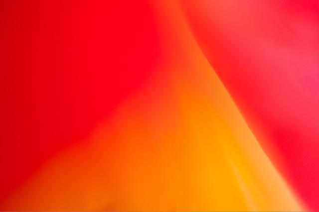 画像: 超接写でイメージの世界へ」 ▲花を撮っていると、どうしてもワンパターンになりがち。そんなときは思い切って発想を変えてみるといい。オススメは超接写。マクロレンズでもたかだか等倍で、眼の延長上。なので、接写リングを使って、等倍越えの世界を体験してみたい。とくに、ワイド系レンズや大口径レンズと接写リングを組み合わせると、まさにレンズを通してでなければ楽しめない、写真ならではの甘美な描写を楽しむことだってできる。とはいえ、最初は失敗の山になるので、とにかく枚数撮って、あとから選ぶつもりで頑張ろう! ■パナソニック GX-7 MK2 LUMIX G 14mm F2.5 絞りF2.5 1/8秒 ISO1600