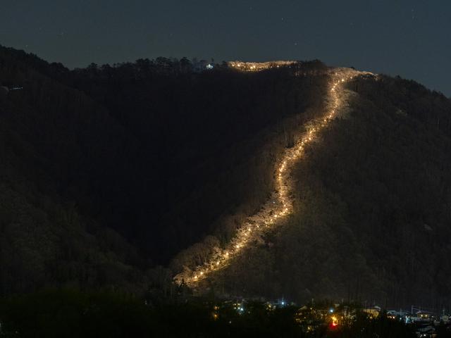 画像: ライトアップされた光城山の桜