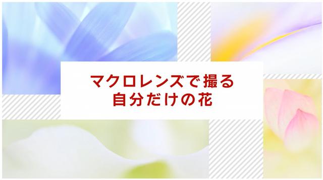 画像7: youtu.be