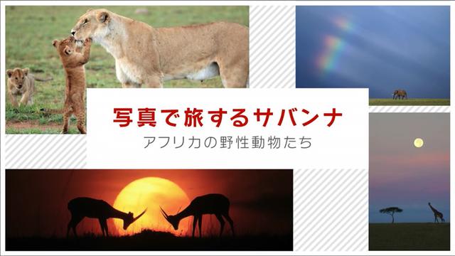 画像5: youtu.be