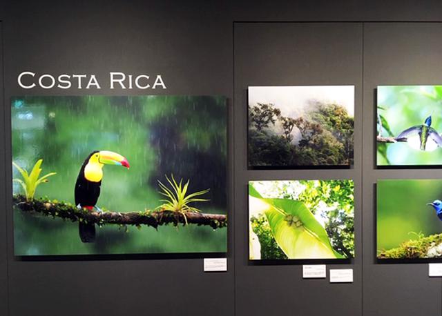 画像: 中野耕志写真展『OM-Dと旅する世界の野鳥』は、オリンパスギャラリー東京でただ今開催中です!!