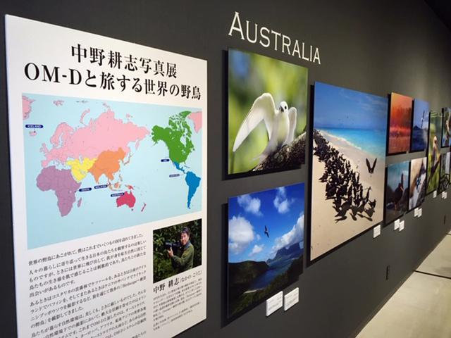 画像: ■会場:オリンパスギャラリー東京 新宿区西新宿1-24-1 エステック情報ビルB1 TEL03-5909-0191 ■会期:開催中 ~8月5日(水)/8月17日(月)~8月26日(水) 11:00~18:00 木曜休館 ※オリンパスギャラリー大阪 9月4日(金)~9月16日(水)