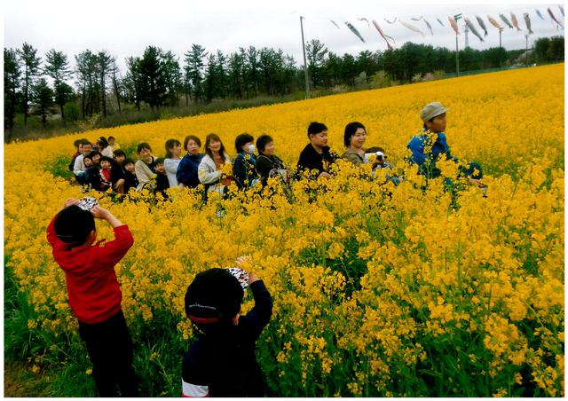 画像: 優秀賞「花園」