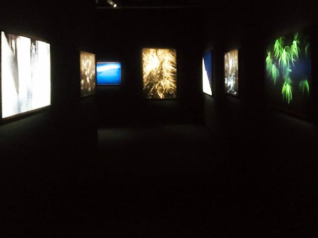 画像1: 中西敏貴写真展『Kamuy』。北海道美瑛町で大自然と向き合いながら、アイヌの人々の自然観に人と自然との関わりの答えを探し求めてきた中西氏。