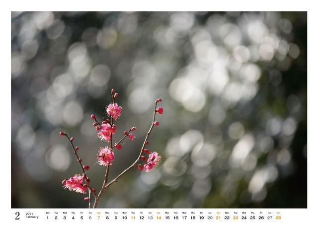 画像: A3ヨコ、表紙~7月