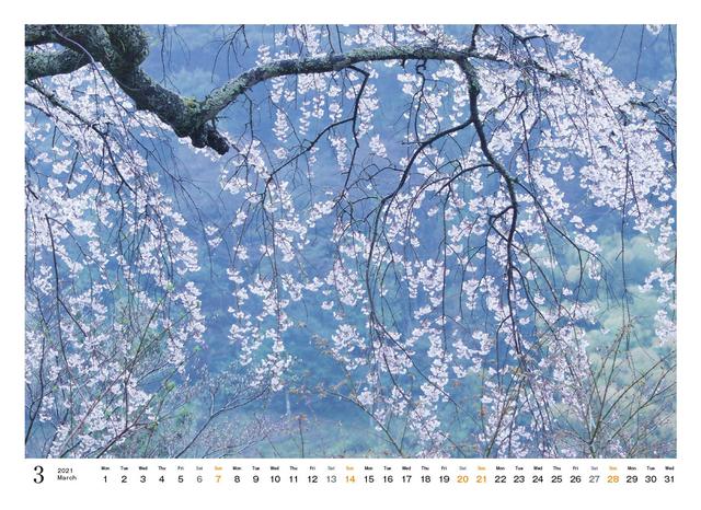 画像4: mm-style.jp