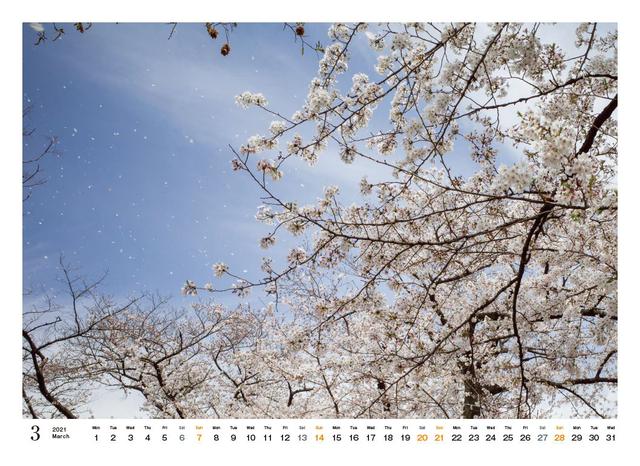 画像4: mm-style.jp
