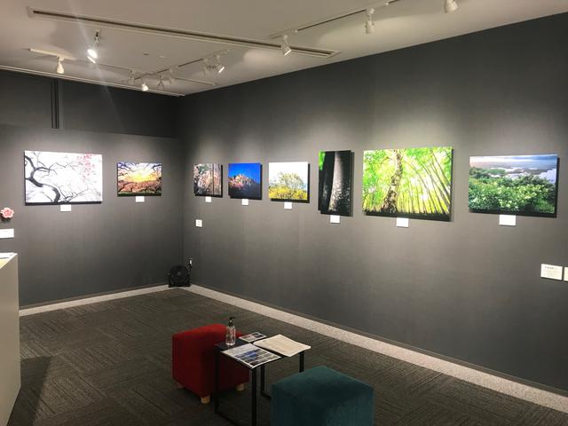 画像: ▲A1(全倍)10点、A2(全紙)29点の作品がスペース1、スペース3で展示されています。