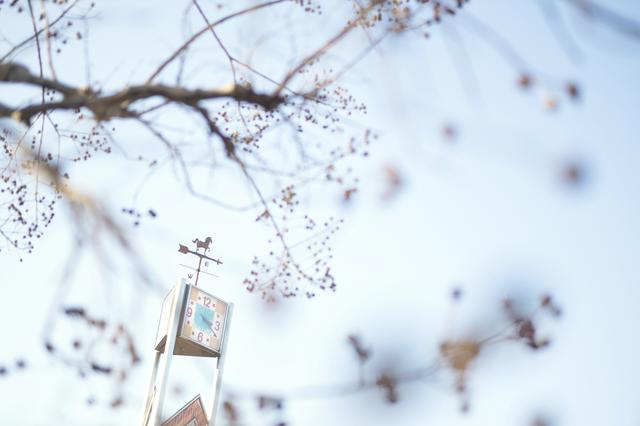 画像: ■会場:gallery re:tail 東京都武蔵野市吉祥寺本町3-12-9 潤マンション103号 ■会期:3月24日(水)~4月4日(日) 13:00~19:00(最終日~17:00) 月曜休廊