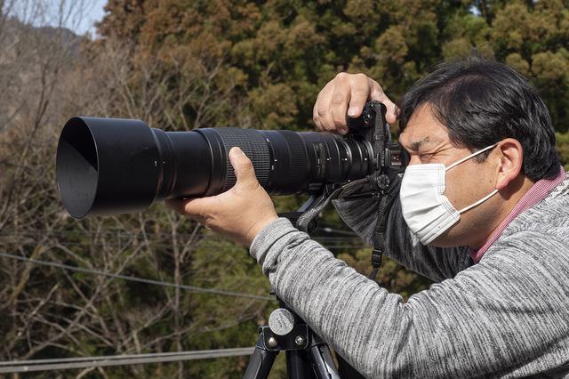 画像: レフ用のAF-S200-500mmF5.6EもマウントアダプターFTZを介して装着。あまり絞らないことがZ6ⅡでのAF-C合焦率を上げるコツらしい。