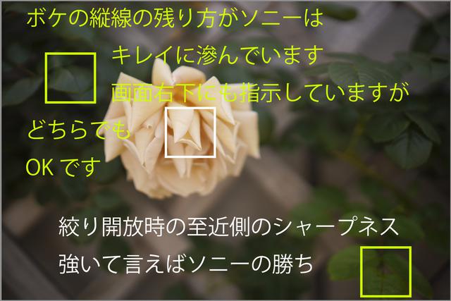画像1: シーン1