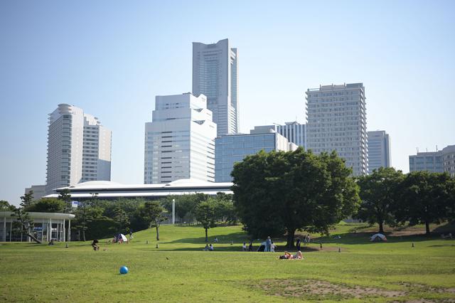 画像: 晴天日中で絞り開放で遠景、みたいな意地悪な撮り方をすると流石にフワッとする部分があるけれど、これはコレで良い感じ。 ■絞り優先AE(F2.8 1/2500秒) プラス1.0露出補正 ISO200