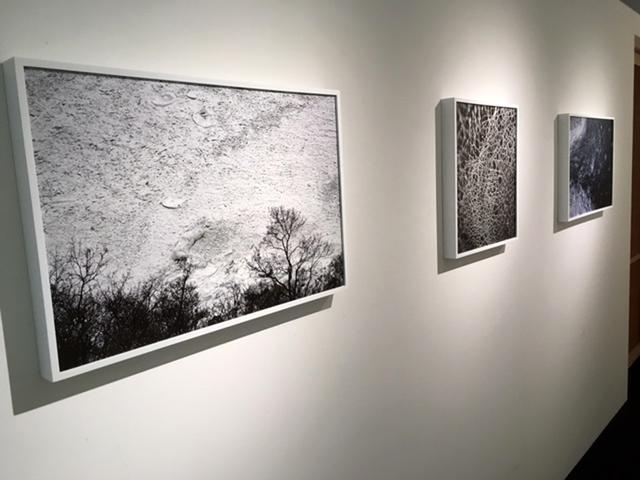 画像2: GOTO AKI写真展『event horizon -事象の地平線-』。一流の商社勤めを辞めてフリーランスとなった変わり種写真家のGOTO AKIさん。