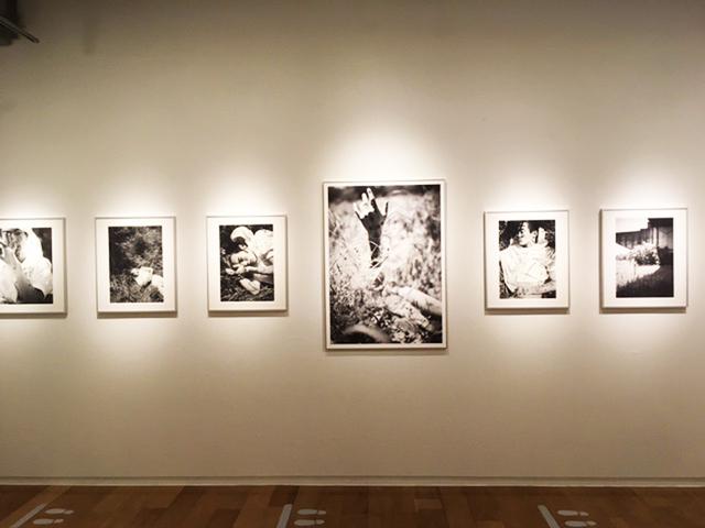 画像1: 舞山秀一作品展『BOTANIZATION』。黒白プリントとカラープリントのヒュージョンです。