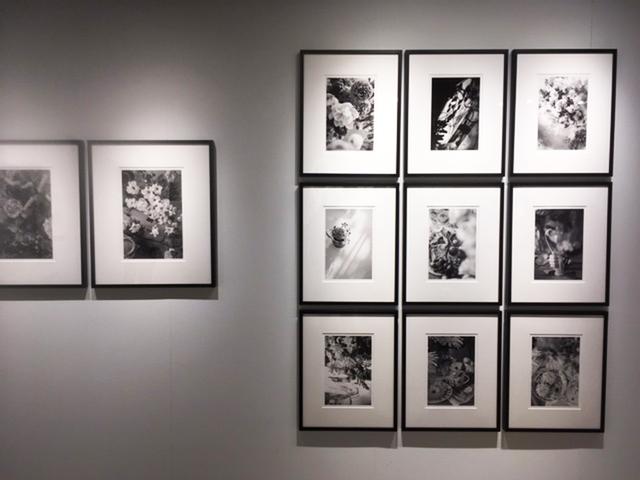 ニコンプラザ東京 THE GALLERYでは､今道しげみ写真展『THE LIVING