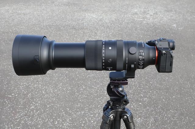 Lens Impression! シグマ60-600mm F4.5-6.3 DG DN OS | Sports