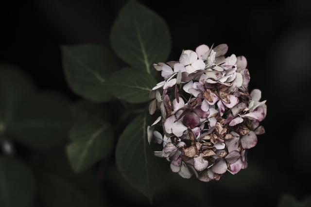 2c5106a5b2563a192ef270bcbc5d1f