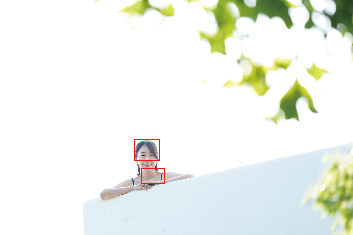画像4: ■共通撮影データ:ソニーα7R Ⅴ 絞り開放 ISO100 WB:5200K