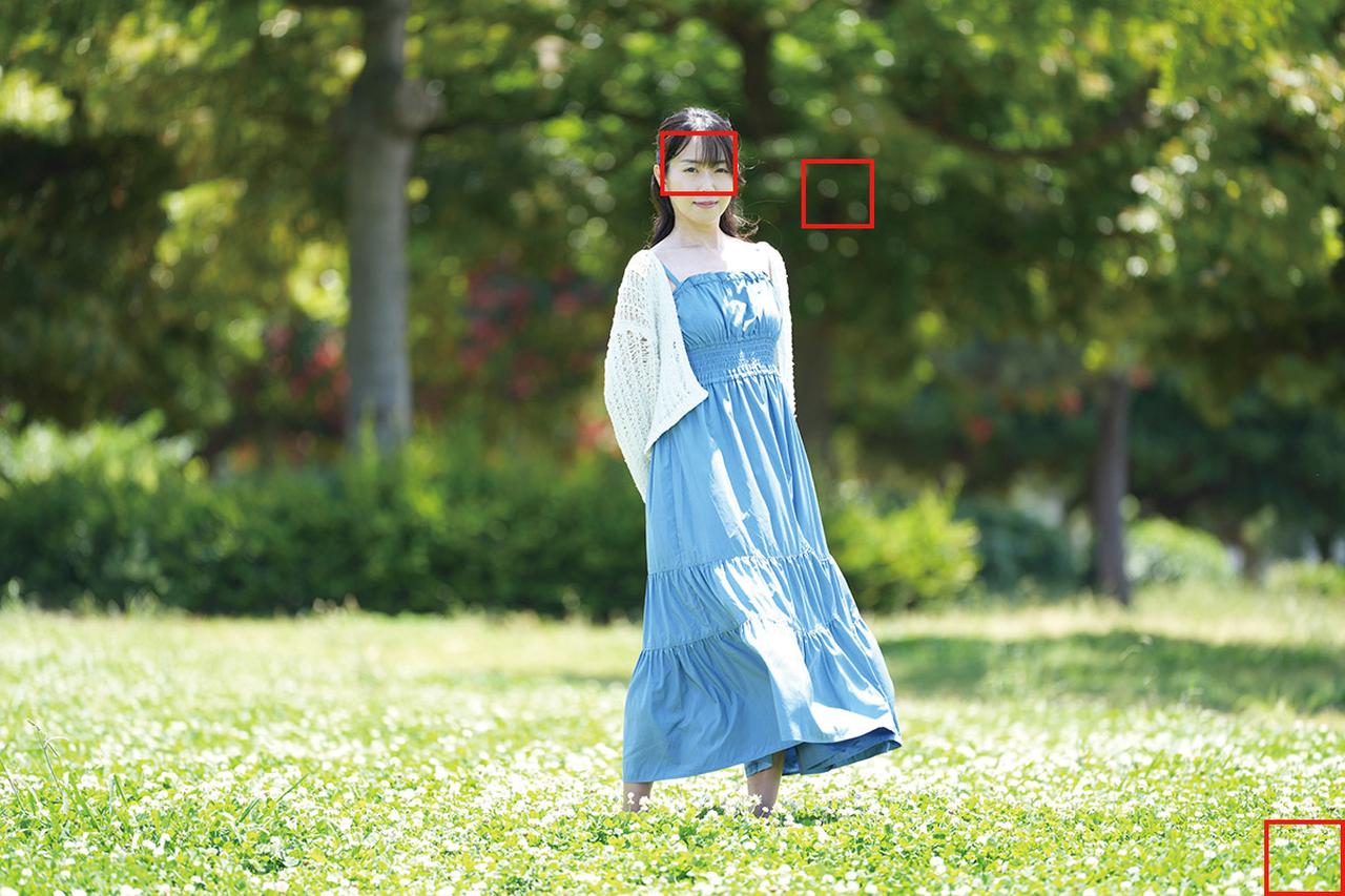 画像3: ■共通撮影データ:ソニーα7R Ⅴ 絞り開放 ISO100 WB:5200K