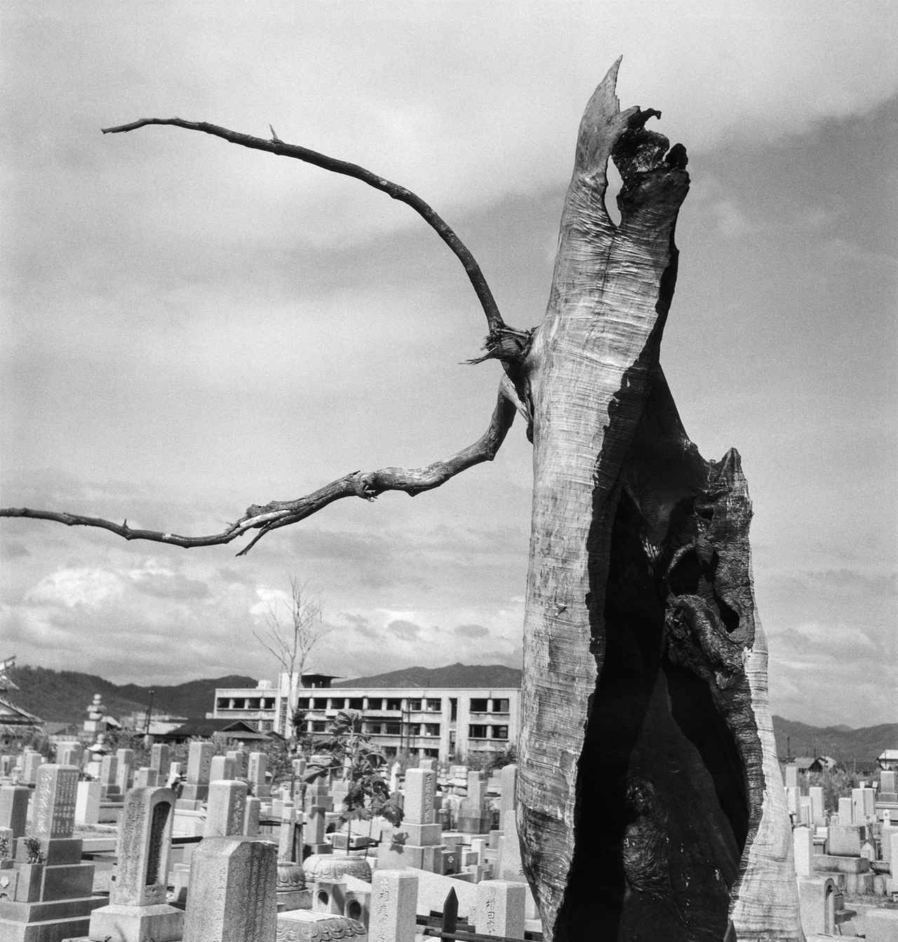 画像1: 「写真フィルムからよみがえる原爆の記録と記憶」概要